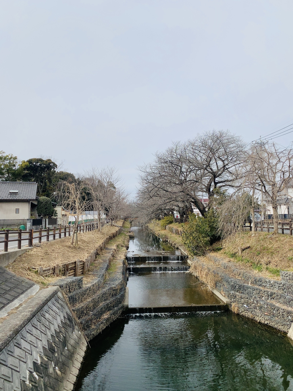 川越 時の鐘〜⛩氷川神社+🥯パンランの写真8
