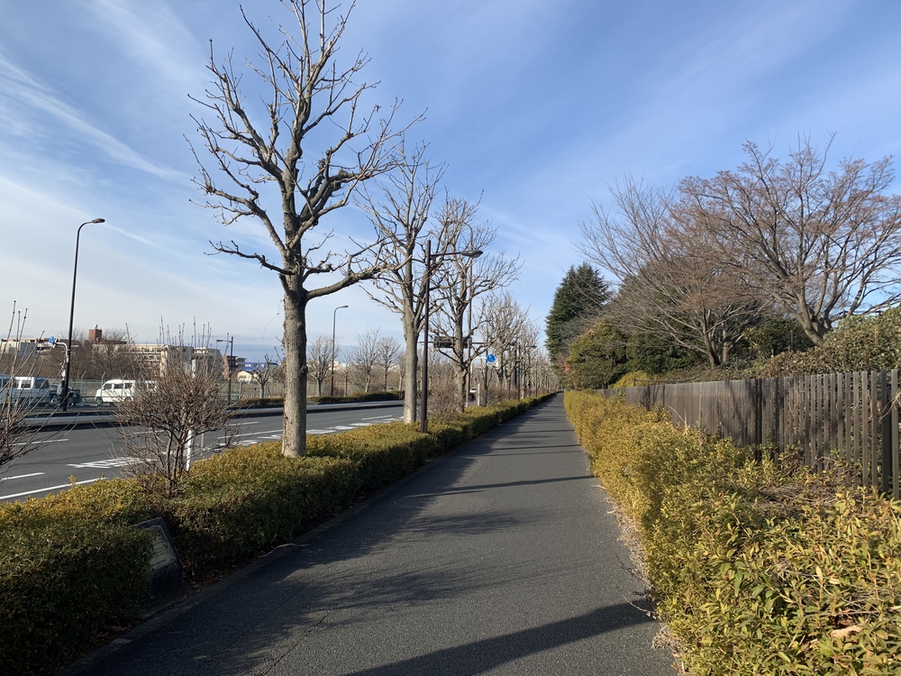 昭和記念公園 外周と無料エリアの写真3