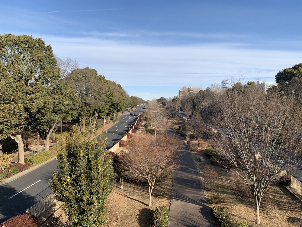 昭和記念公園 外周と無料エリアの写真6