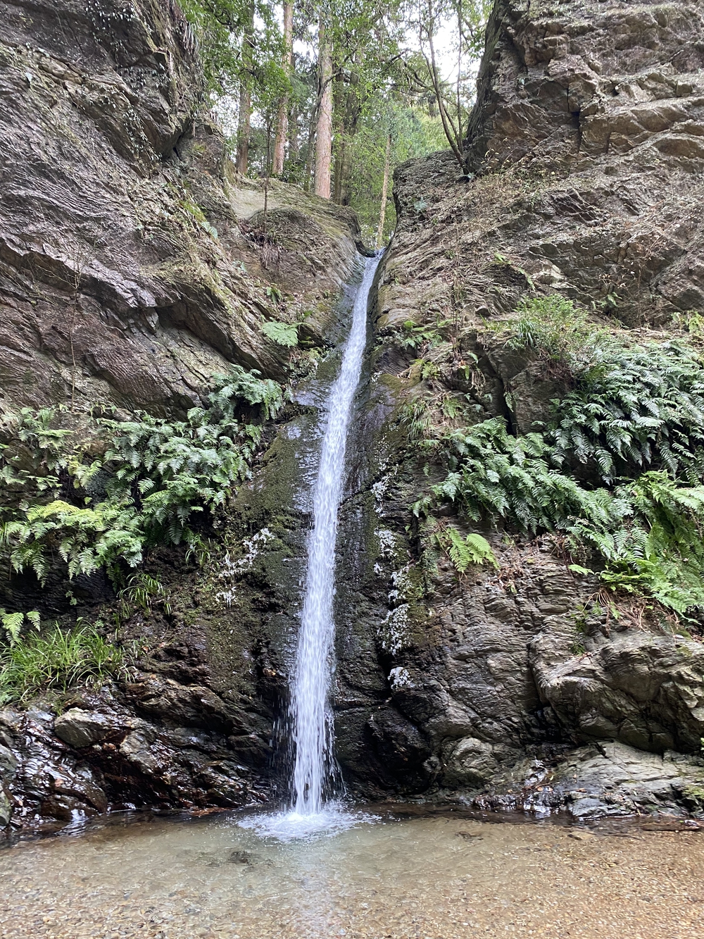 奥武蔵トレラン名所巡りの写真3