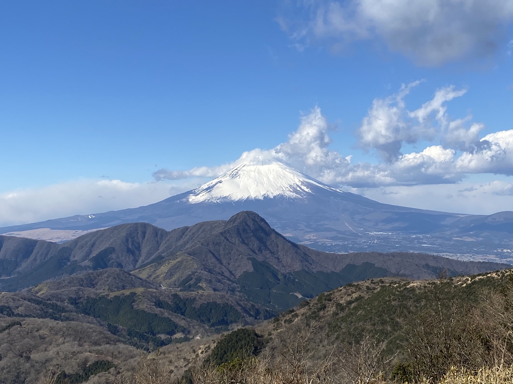 真・ガイリーンの写真3