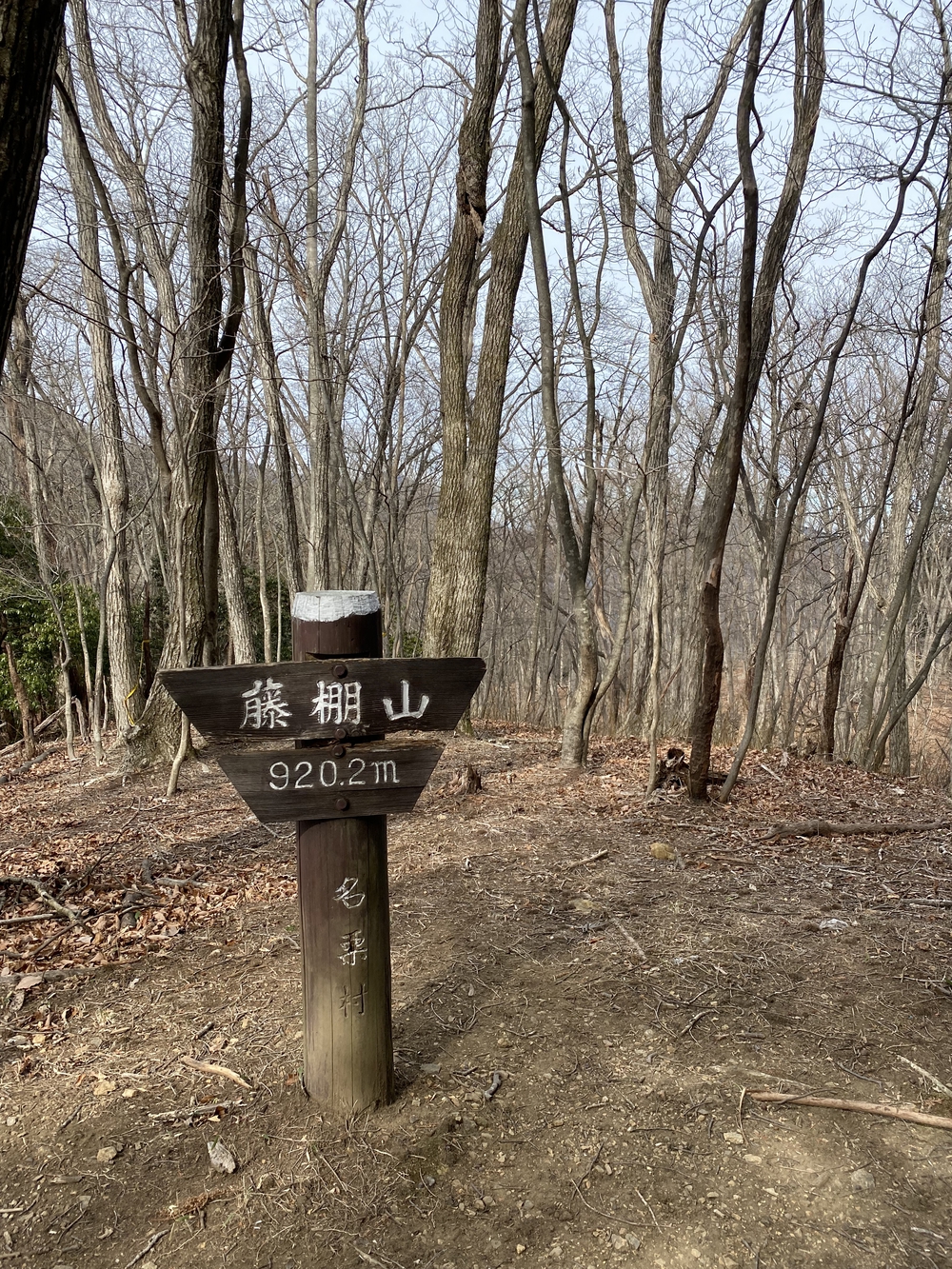 御嶽駅から西武秩父まで縦走の写真9