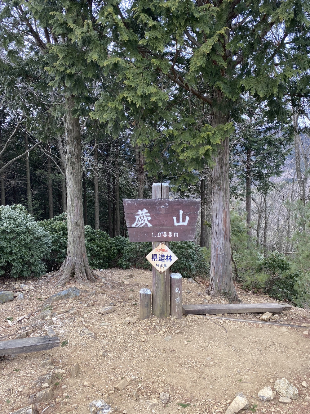 御嶽駅から西武秩父まで縦走の写真10