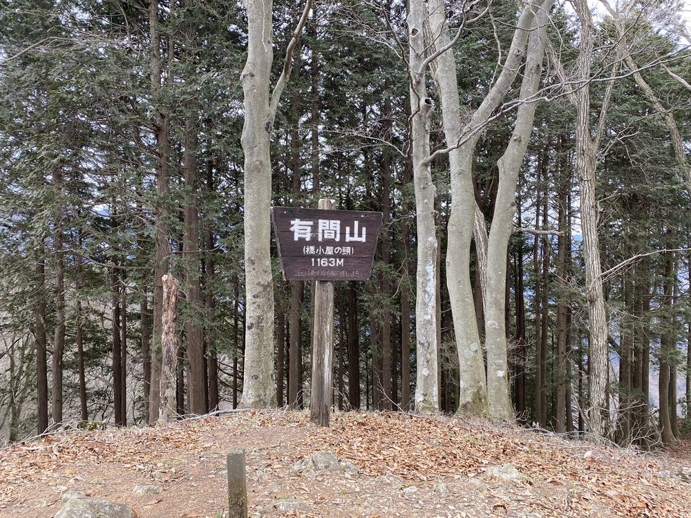 御嶽駅から西武秩父まで縦走の写真11