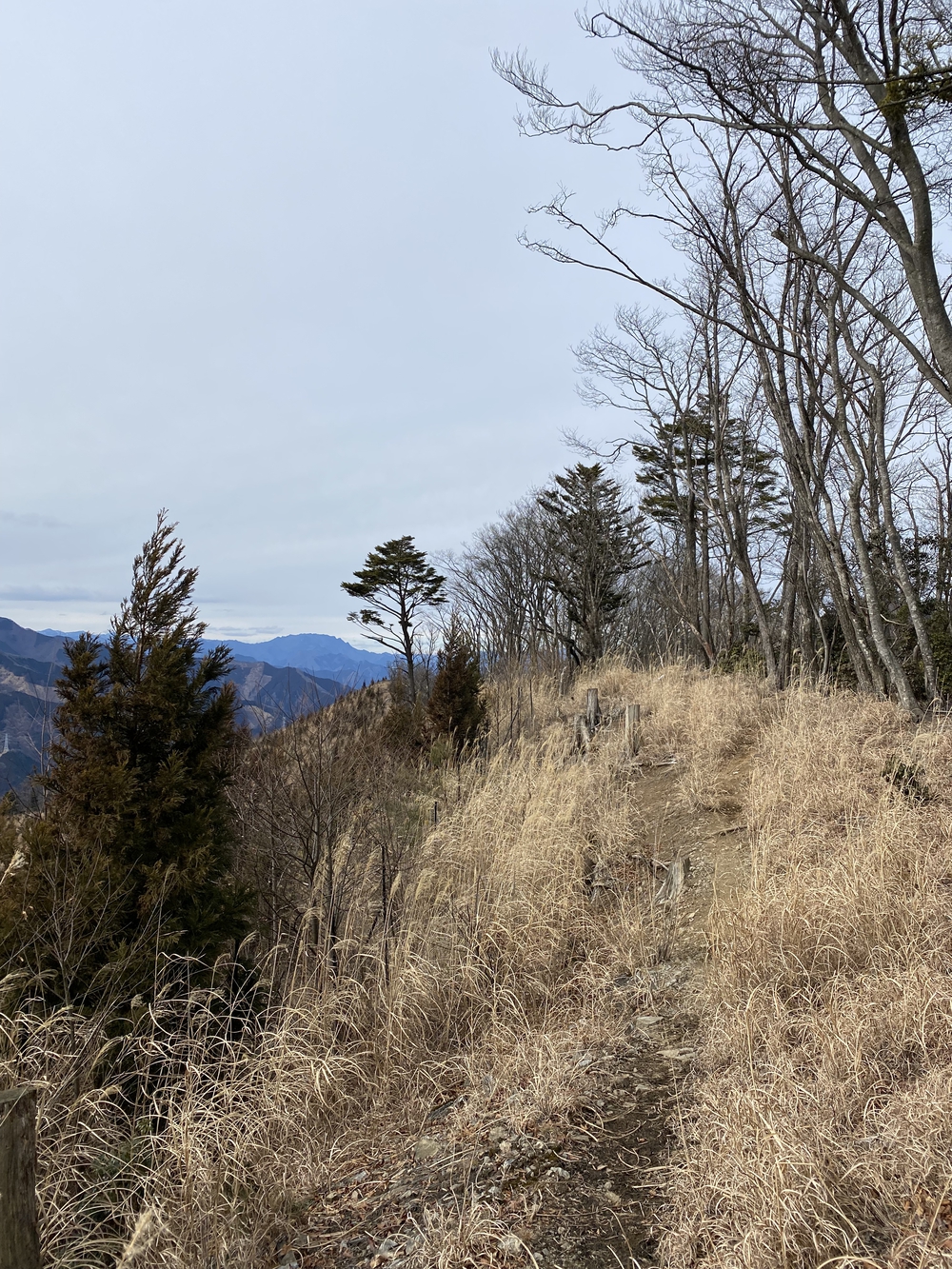 御嶽駅から西武秩父まで縦走の写真12