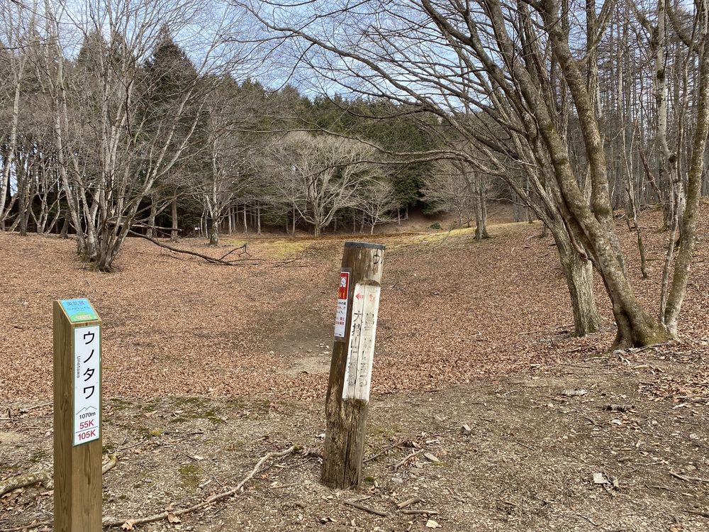 御嶽駅から西武秩父まで縦走の写真13