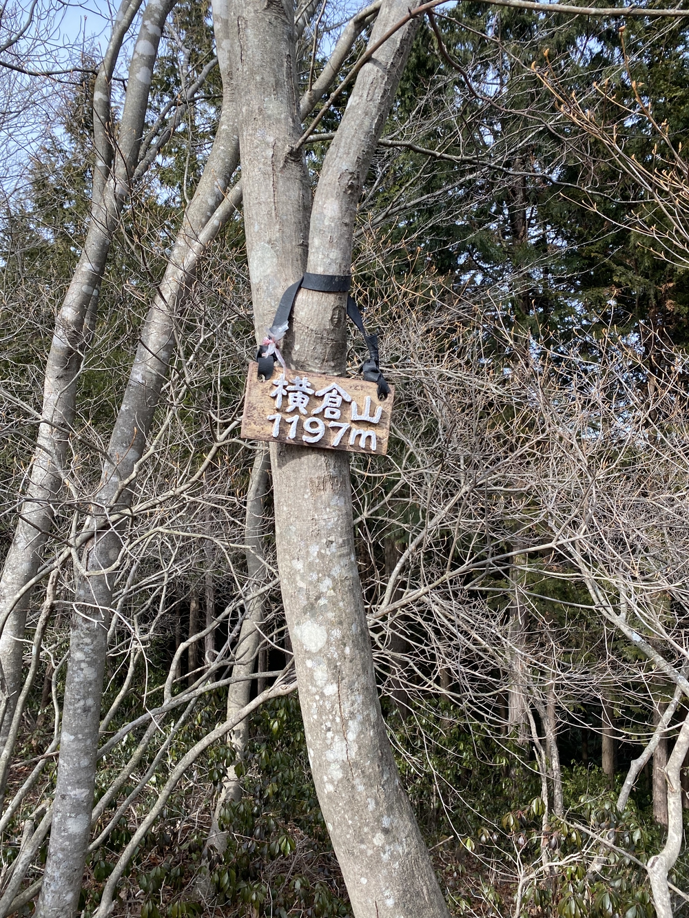 御嶽駅から西武秩父まで縦走の写真14