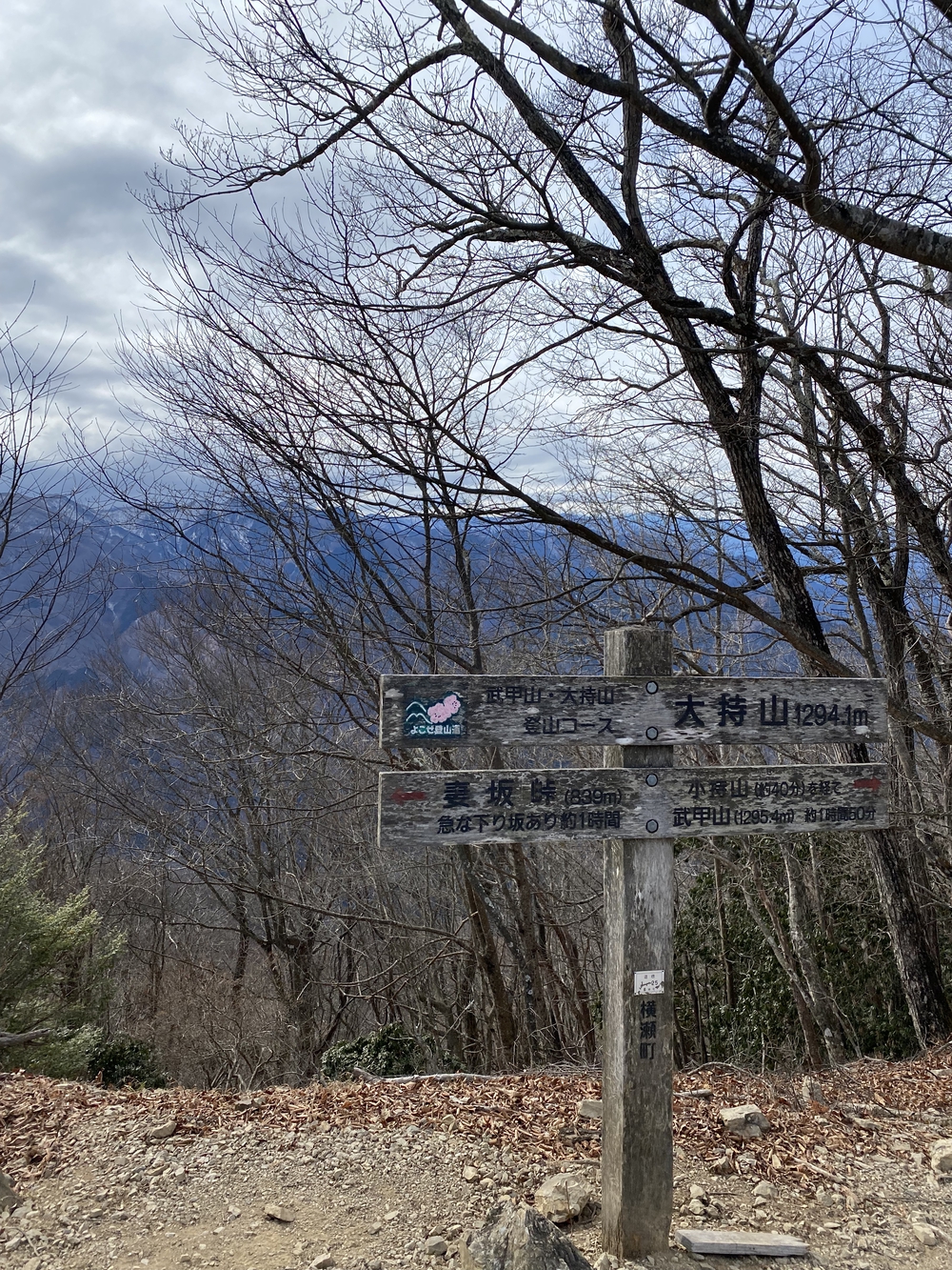 御嶽駅から西武秩父まで縦走の写真15