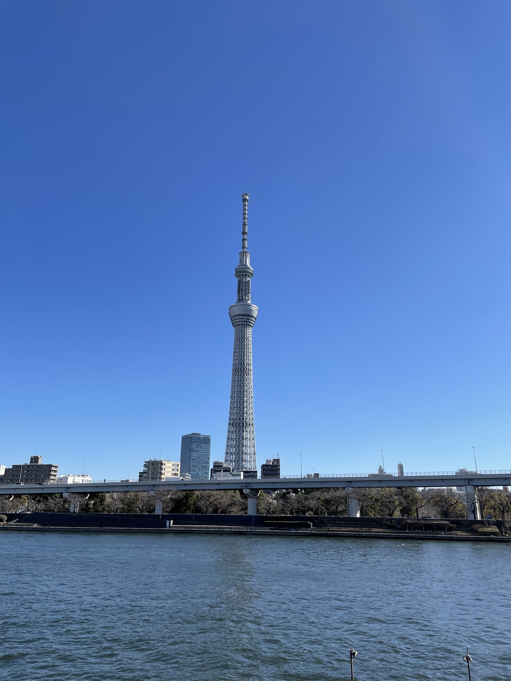 歌川広重と共にRUN 浅草寺の写真6