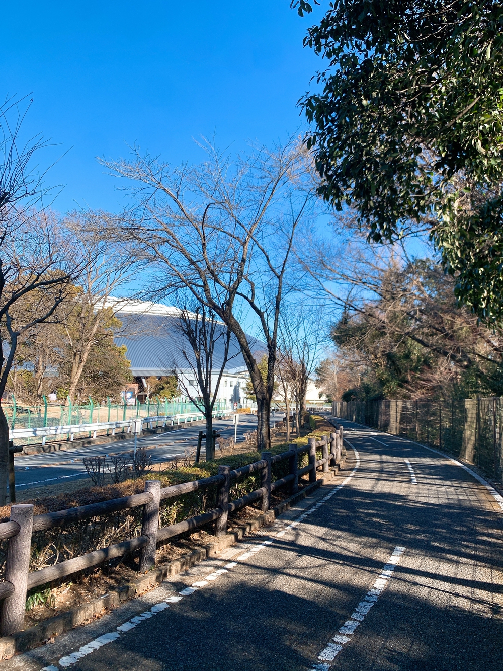 多摩湖周回ランニング15kmの写真3