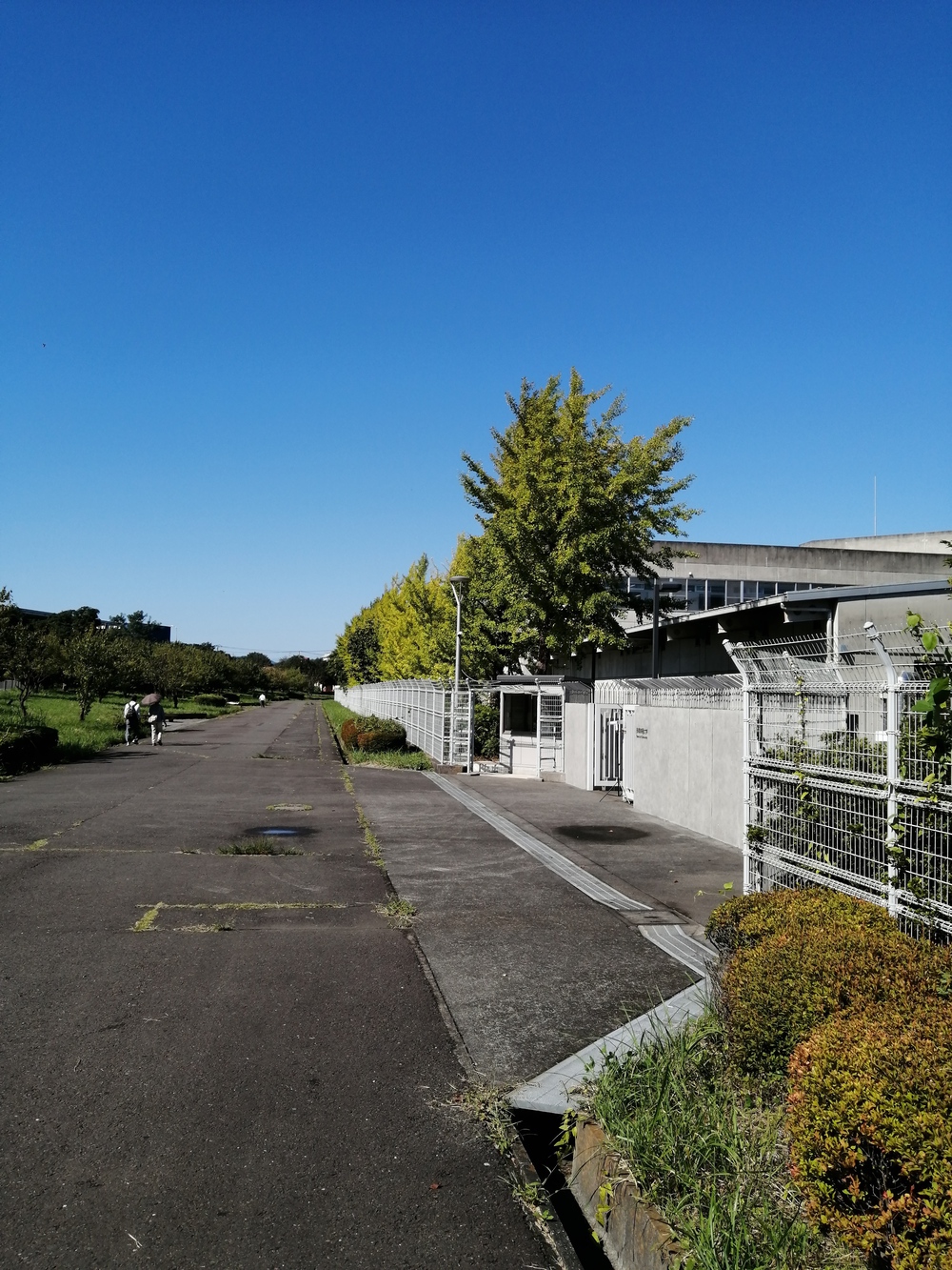 尾根緑道往復の写真3