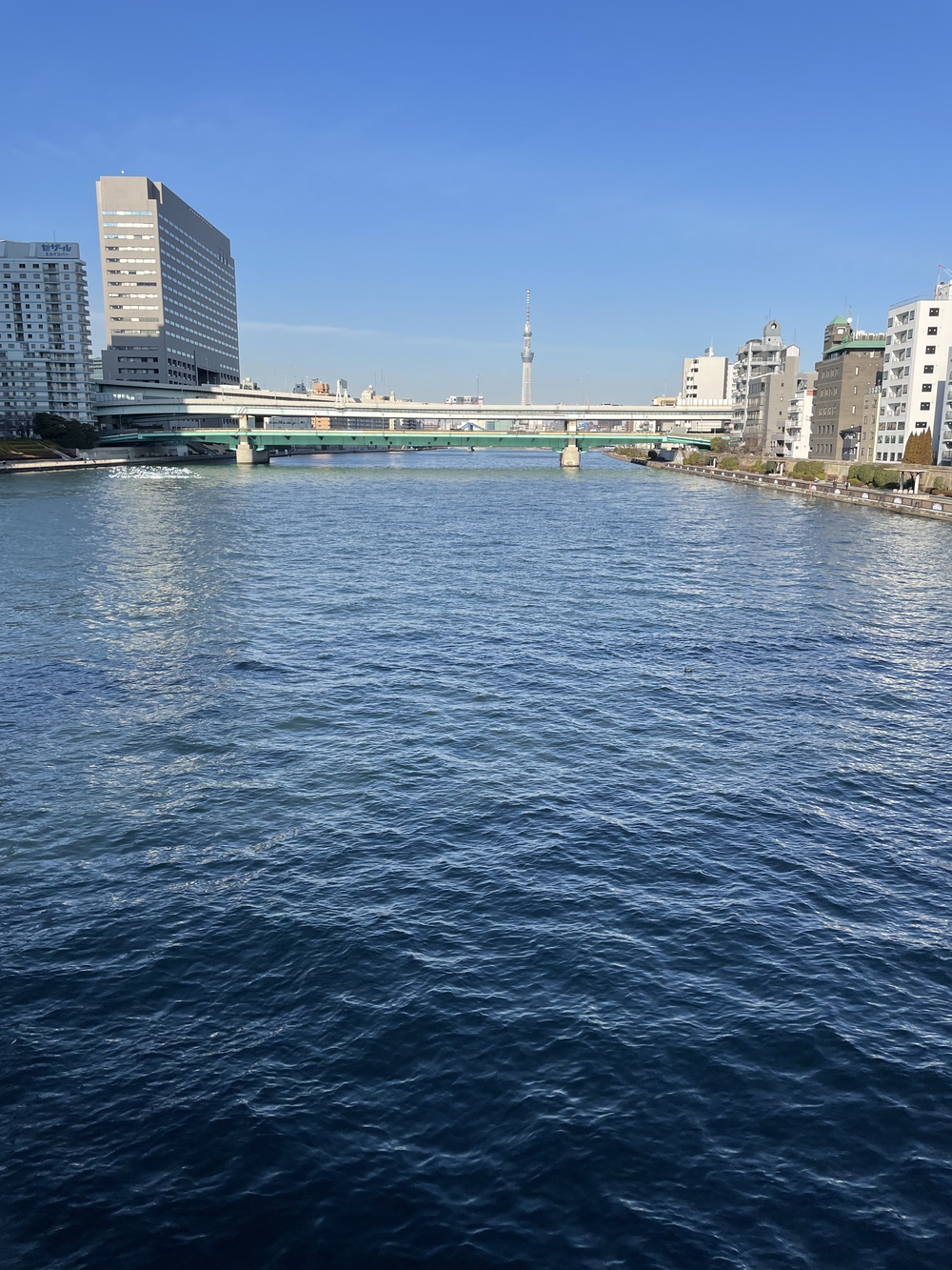 歌川広重と共にRUN 忠臣蔵 両国〜永代橋の写真8