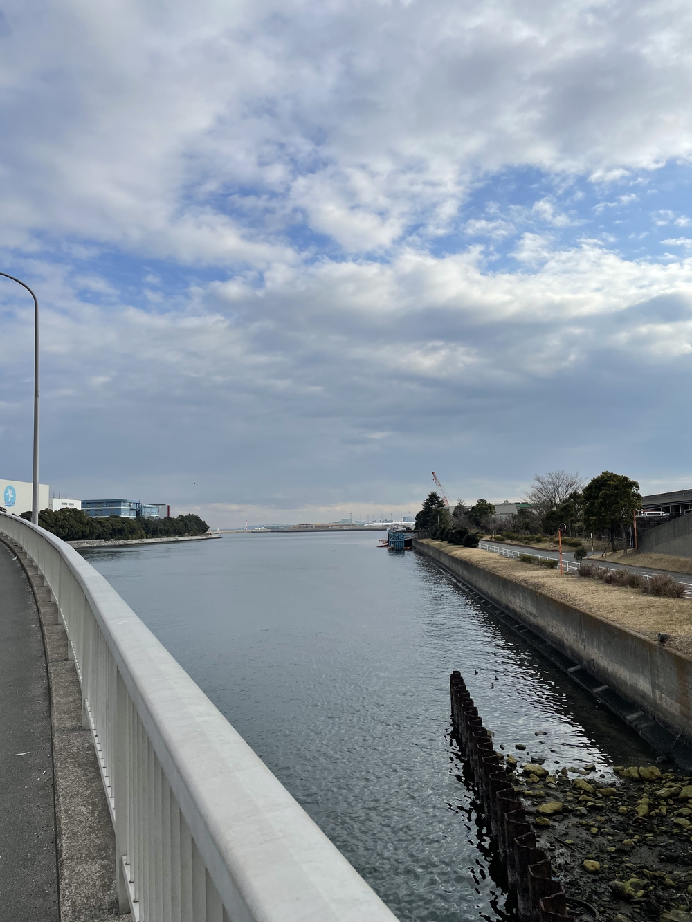 歌川広重と共にRUN 蒲田梅屋敷の写真5