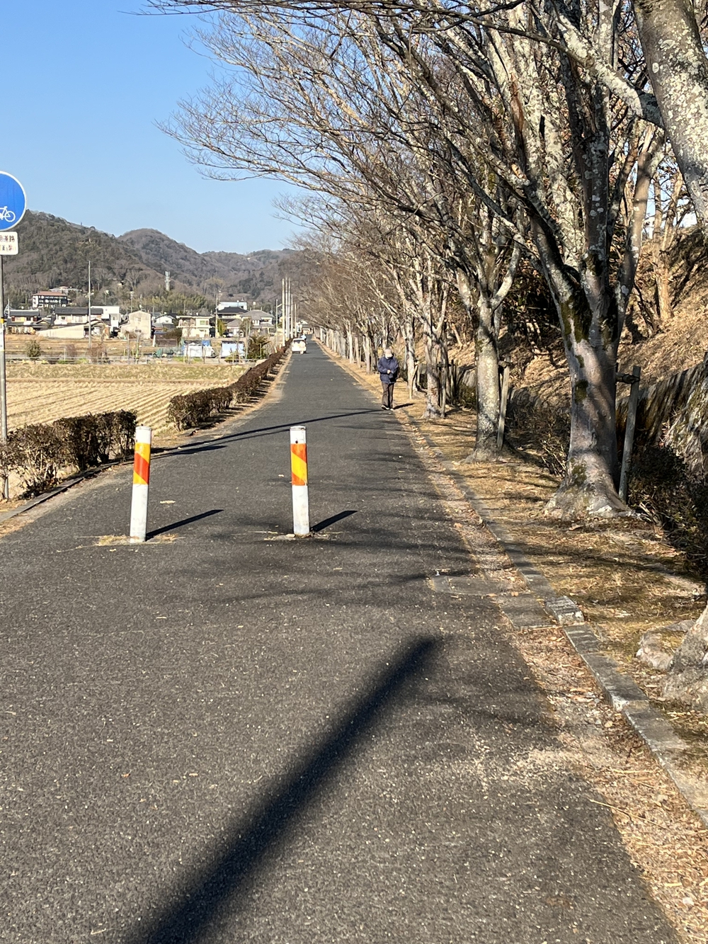 備中高松城水攻め古戦場コースの写真7