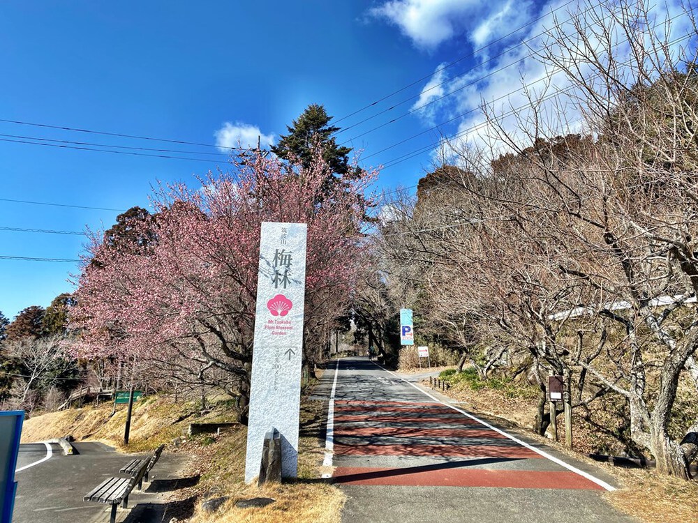 ランシューで行ける筑波山周回20km【小ループ】の写真5