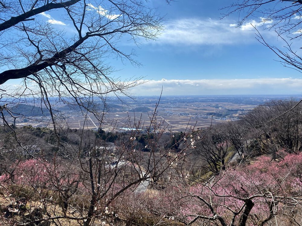 ランシューで行ける筑波山周回20km【小ループ】の写真6