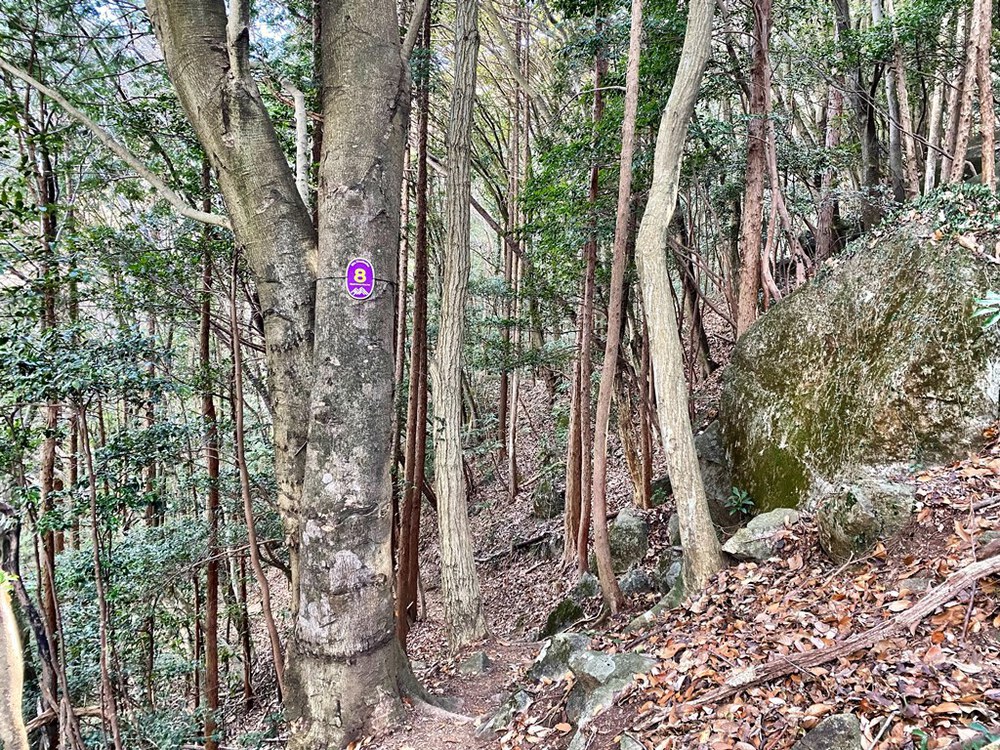 ランシューで行ける筑波山周回20km【小ループ】の写真8