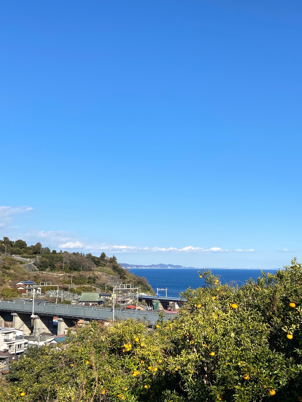 源頼朝　石橋山古戦場跡を巡るの写真6