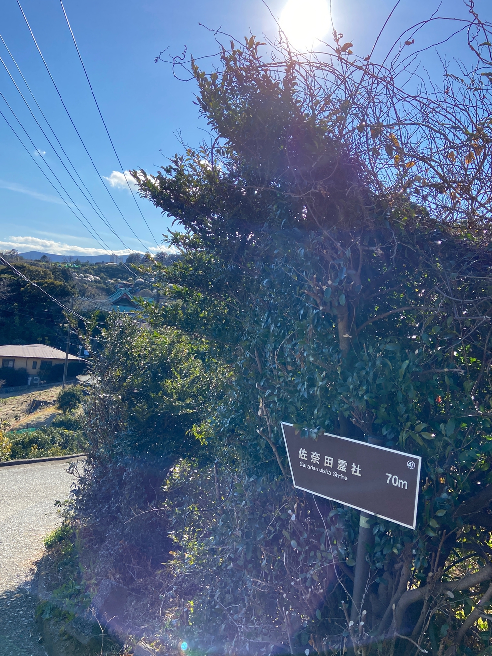 源頼朝　石橋山古戦場跡を巡るの写真8