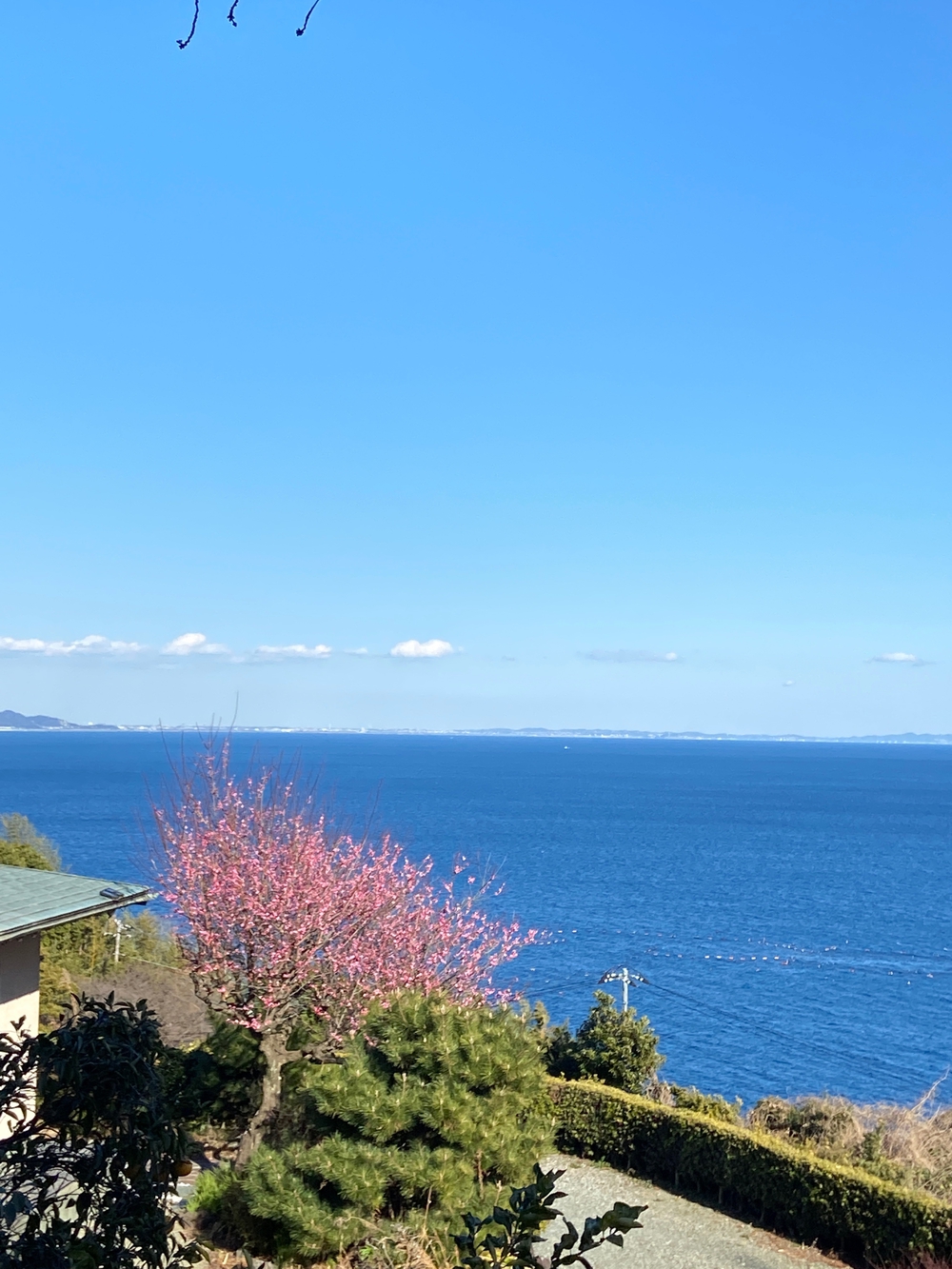 源頼朝　石橋山古戦場跡を巡るの写真14