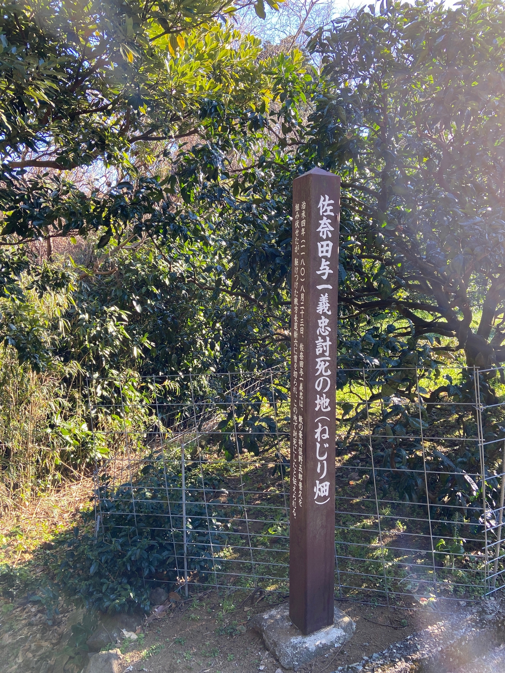源頼朝　石橋山古戦場跡を巡るの写真18
