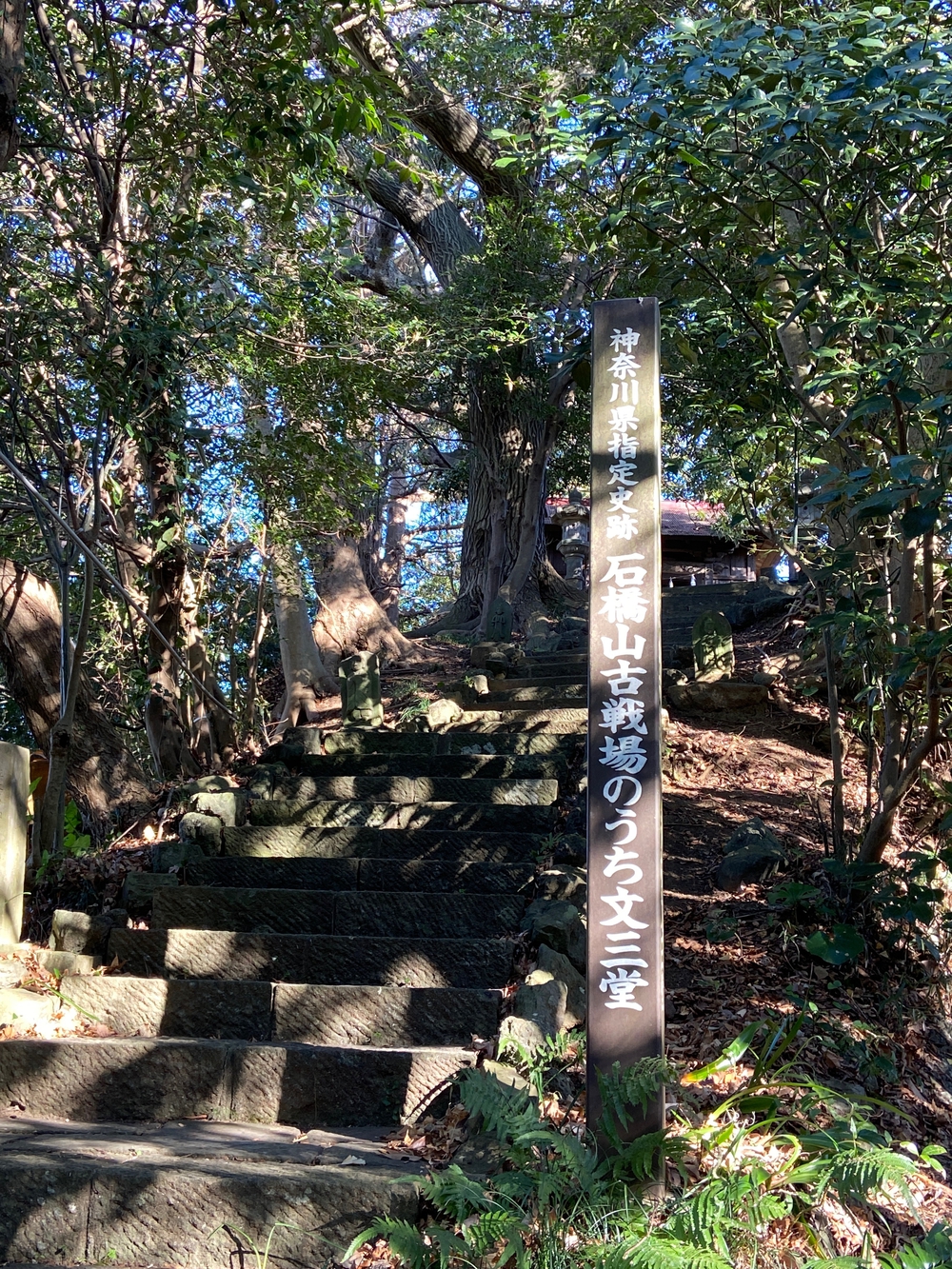 源頼朝　石橋山古戦場跡を巡るの写真19