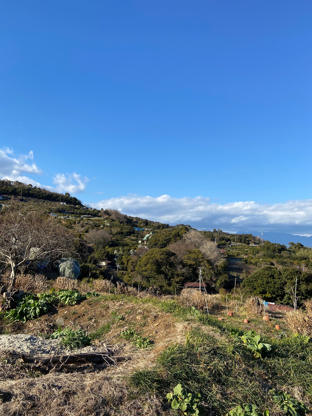 源頼朝　石橋山古戦場跡を巡るの写真20