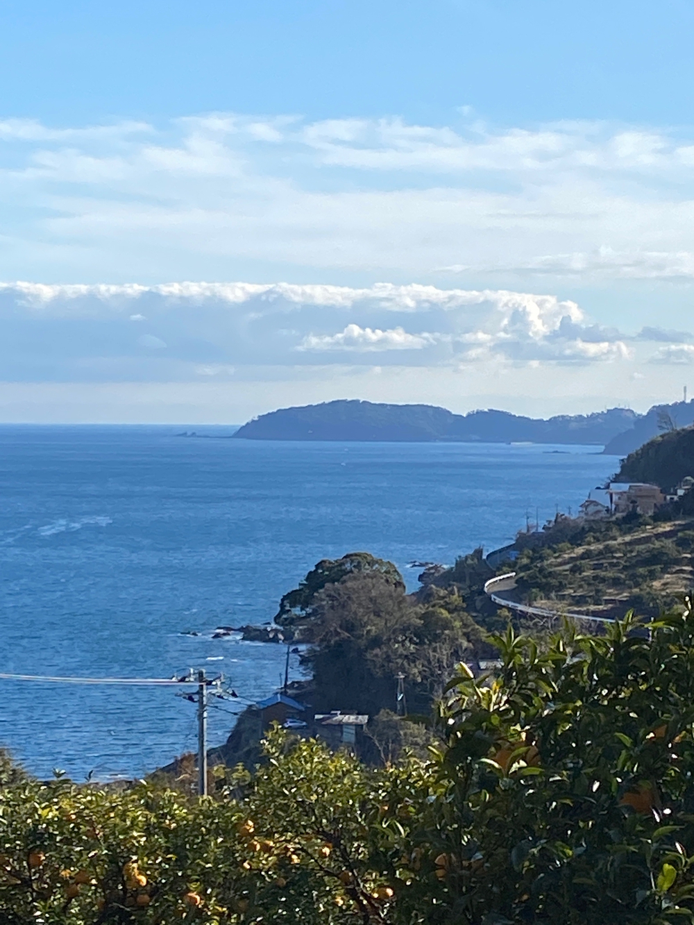 源頼朝　石橋山古戦場跡を巡るの写真23
