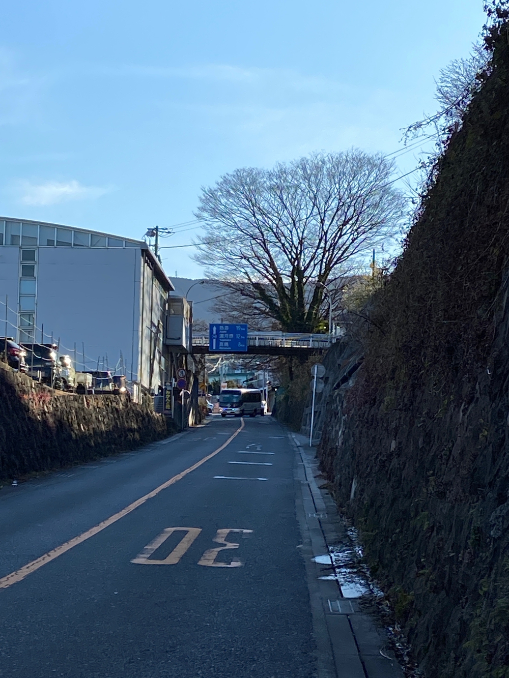 源頼朝　石橋山古戦場跡を巡るの写真29