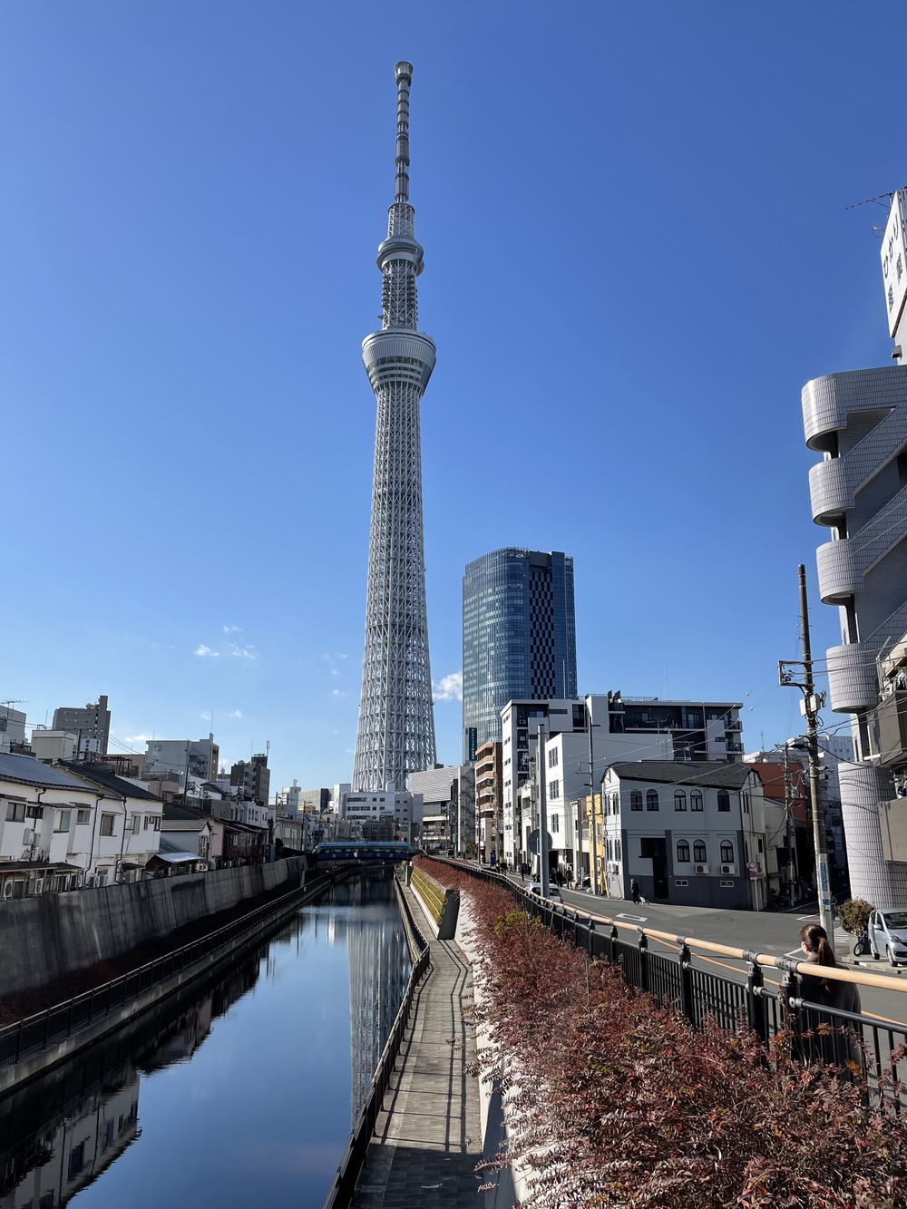 歌川広重と共にRUN 亀戸天神の写真5