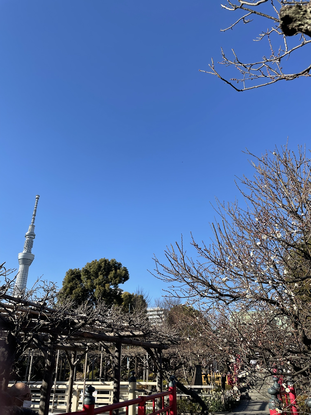 歌川広重と共にRUN 亀戸天神の写真6