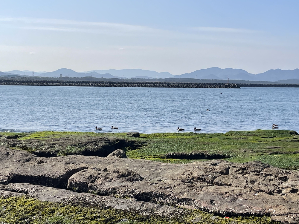 芦屋から岩屋の海岸通りの写真7