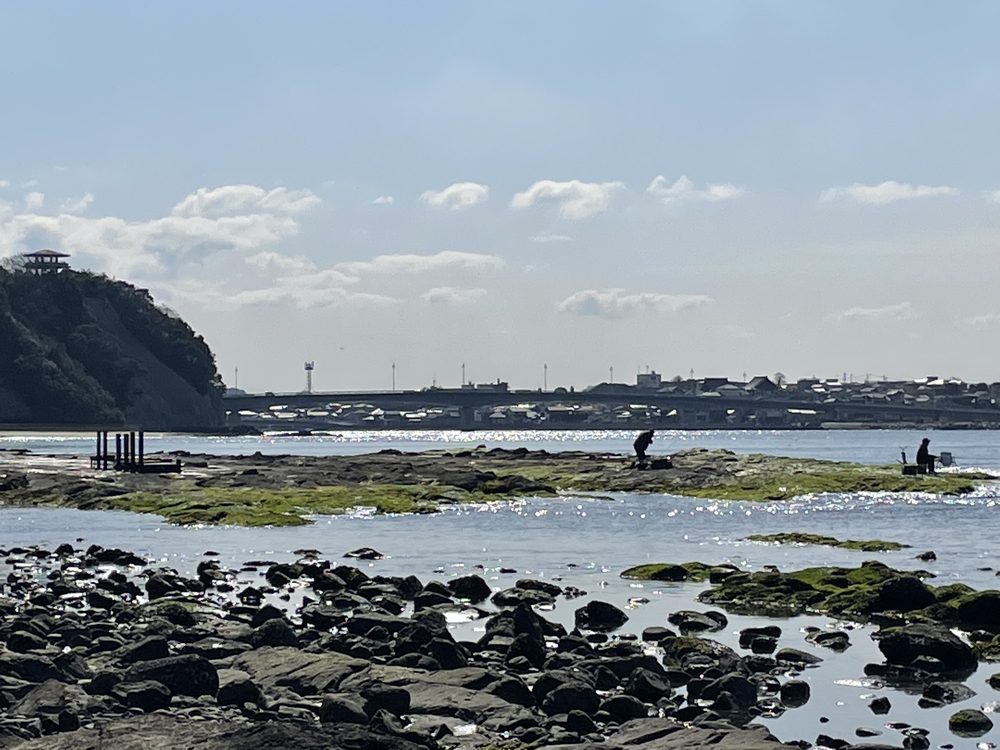 芦屋から岩屋の海岸通りの写真10