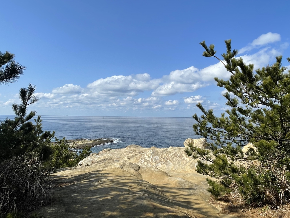 芦屋から岩屋の海岸通りの写真17