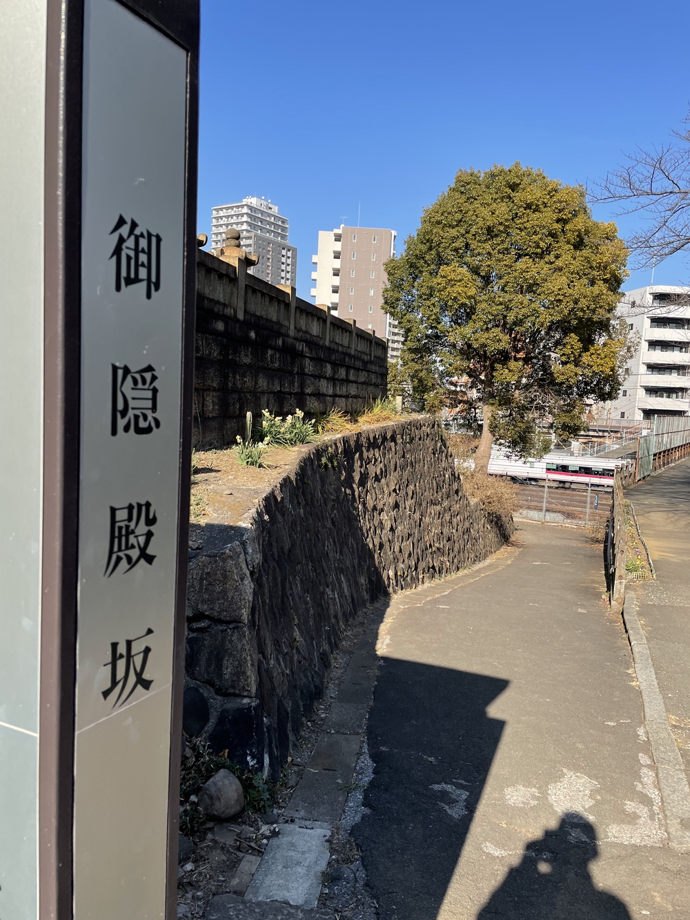 歌川広重と共にRUN 白山の写真8