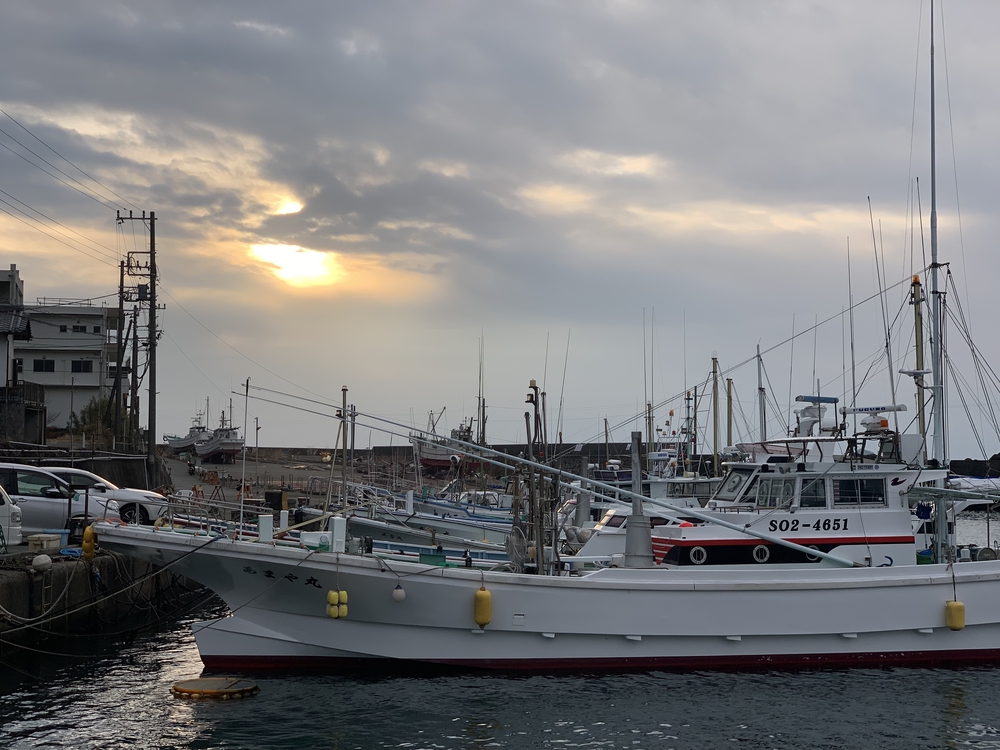 東伊豆 伊東の海岸線を早朝ランの写真3