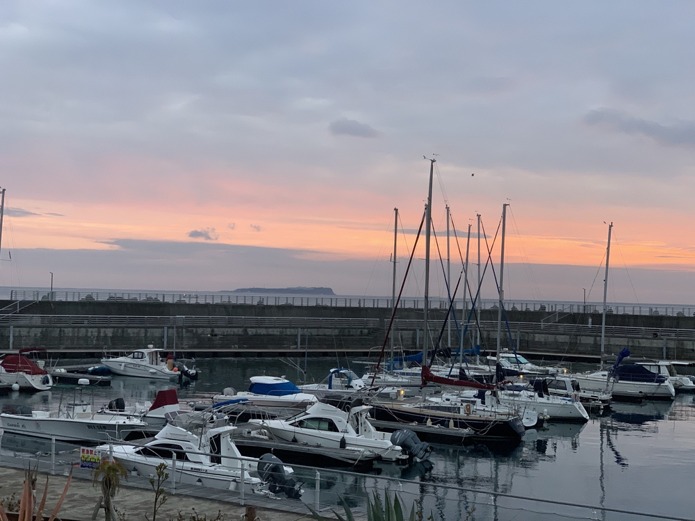 東伊豆 伊東の海岸線を早朝ランの写真6