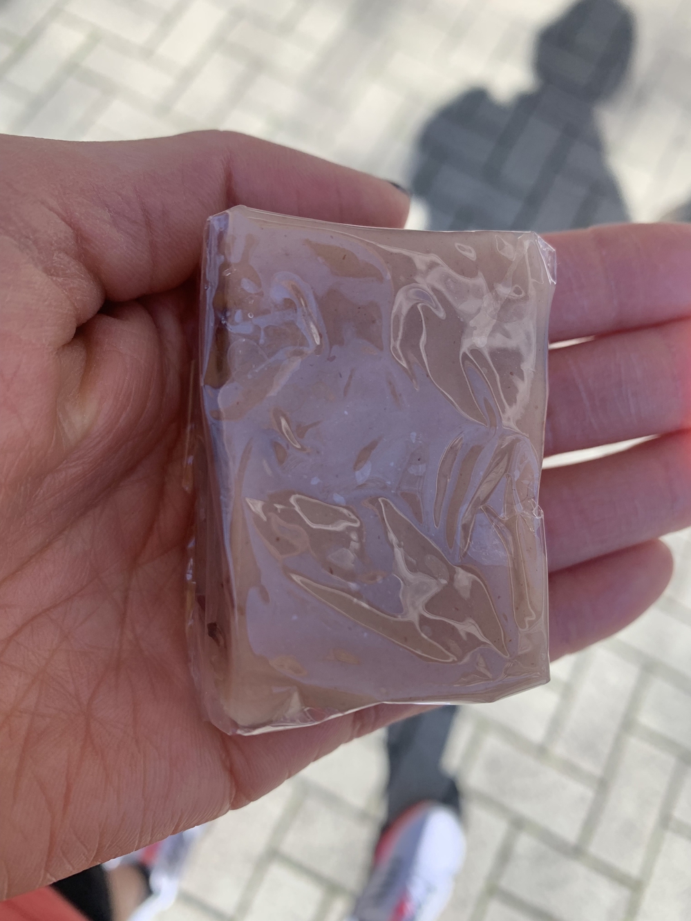 名古屋ウィメンズマラソンコース試走の写真5