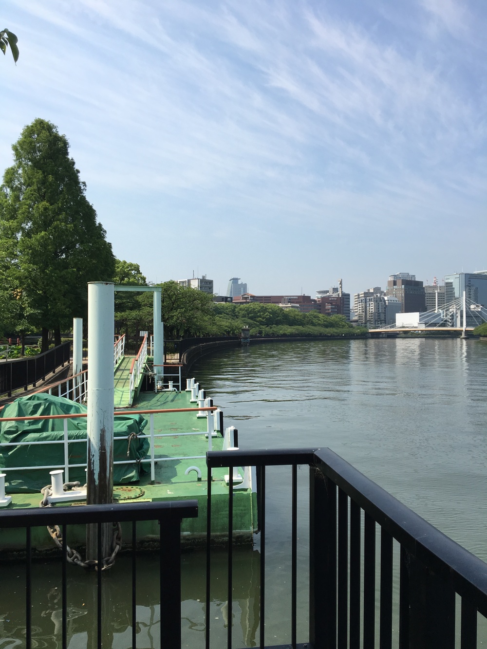 大川ジョグ　淀川から大阪城往復コースの写真3