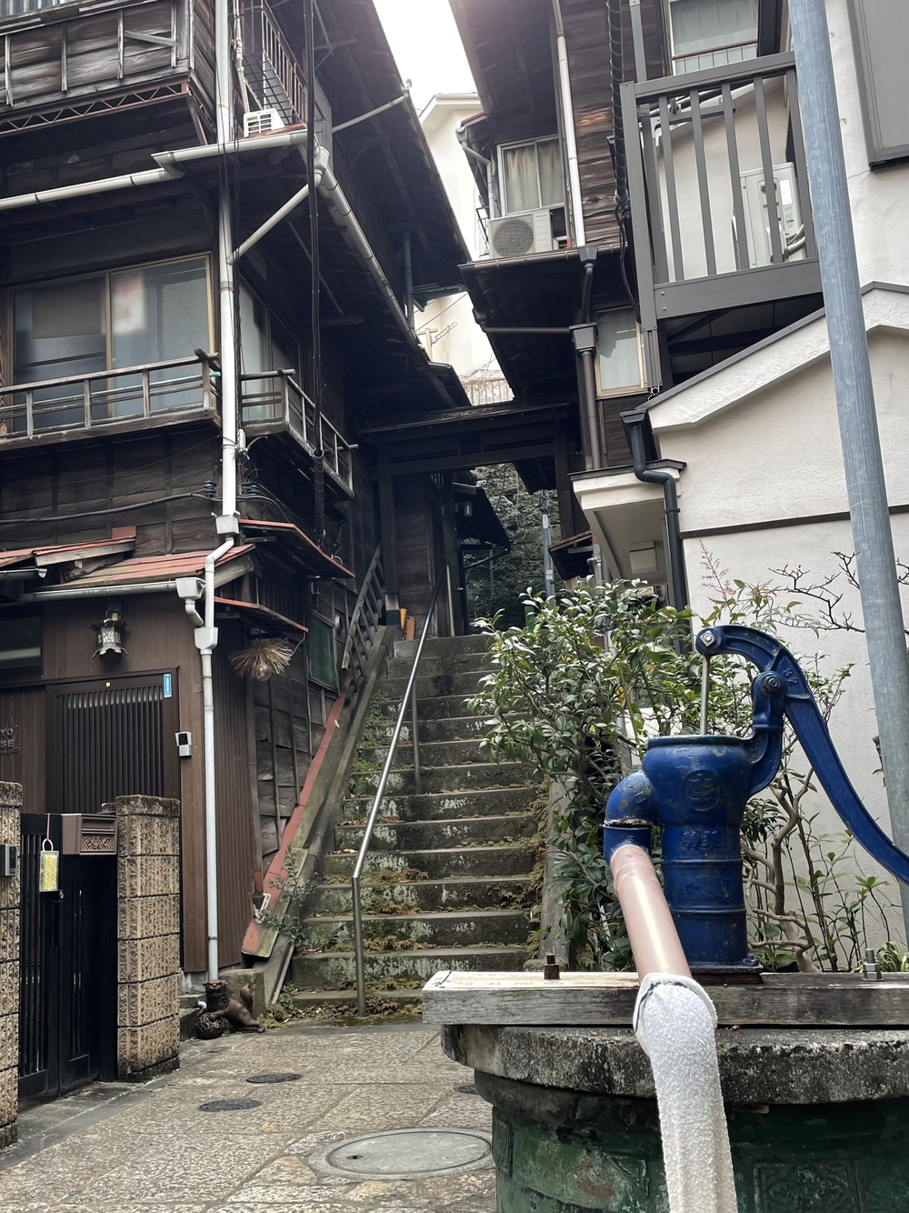 歌川広重と共にRUN 本郷 赤門の写真8