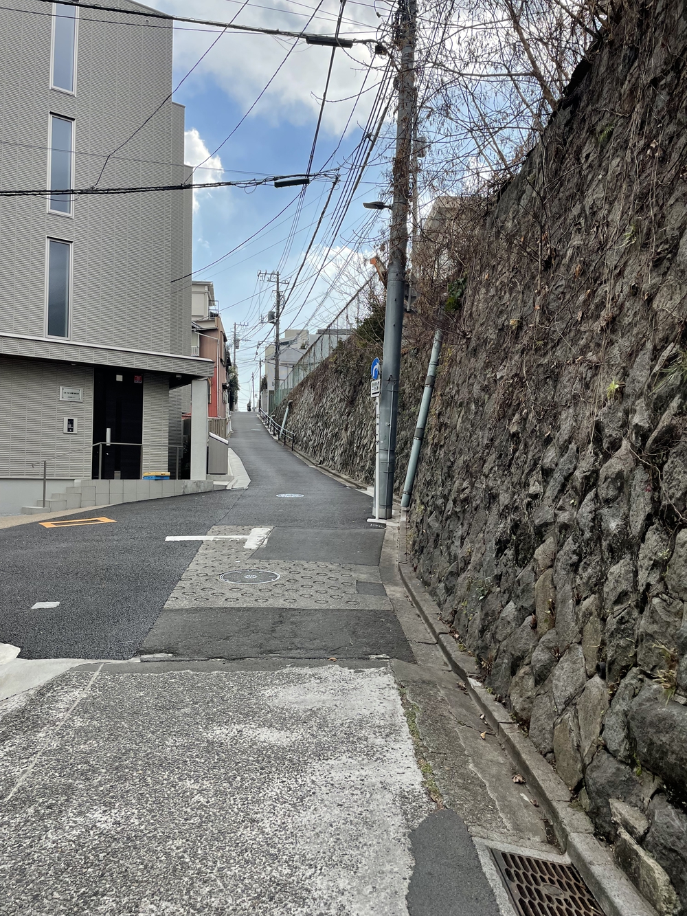 歌川広重と共にRUN 本郷 赤門の写真12