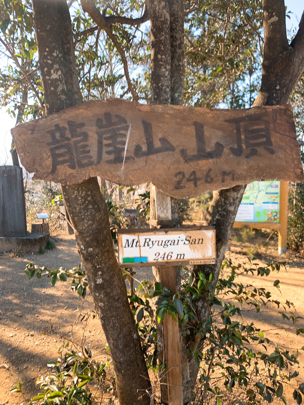 飯能トレイル19kmの写真5