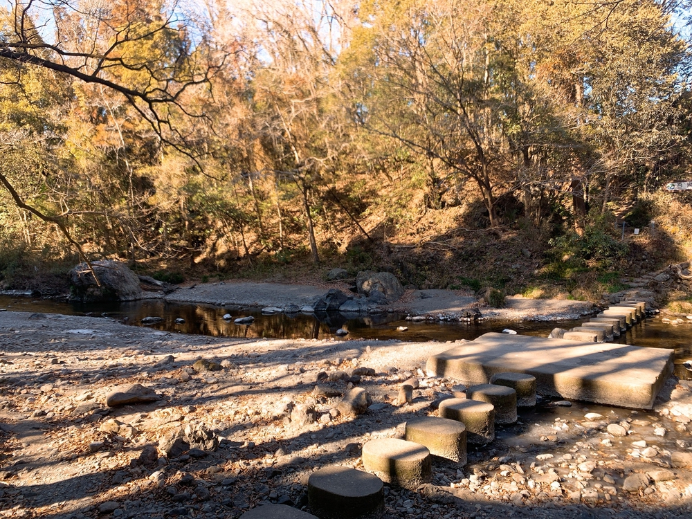 飯能トレイル19kmの写真6
