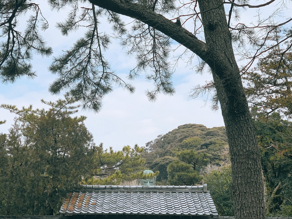 かまくRunTrail 20kmの写真3