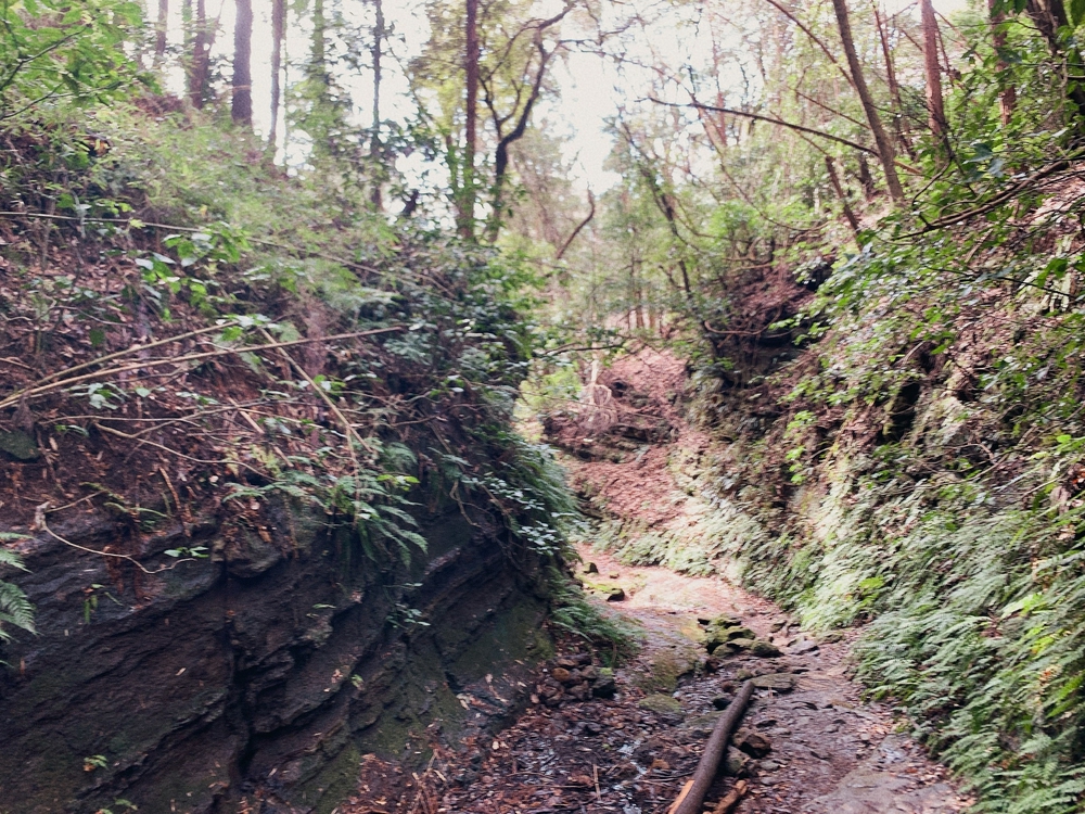 かまくRunTrail 20kmの写真5