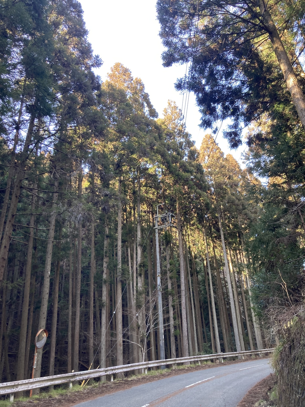 菅生ダム（左岸）〜地蔵の水までの写真3