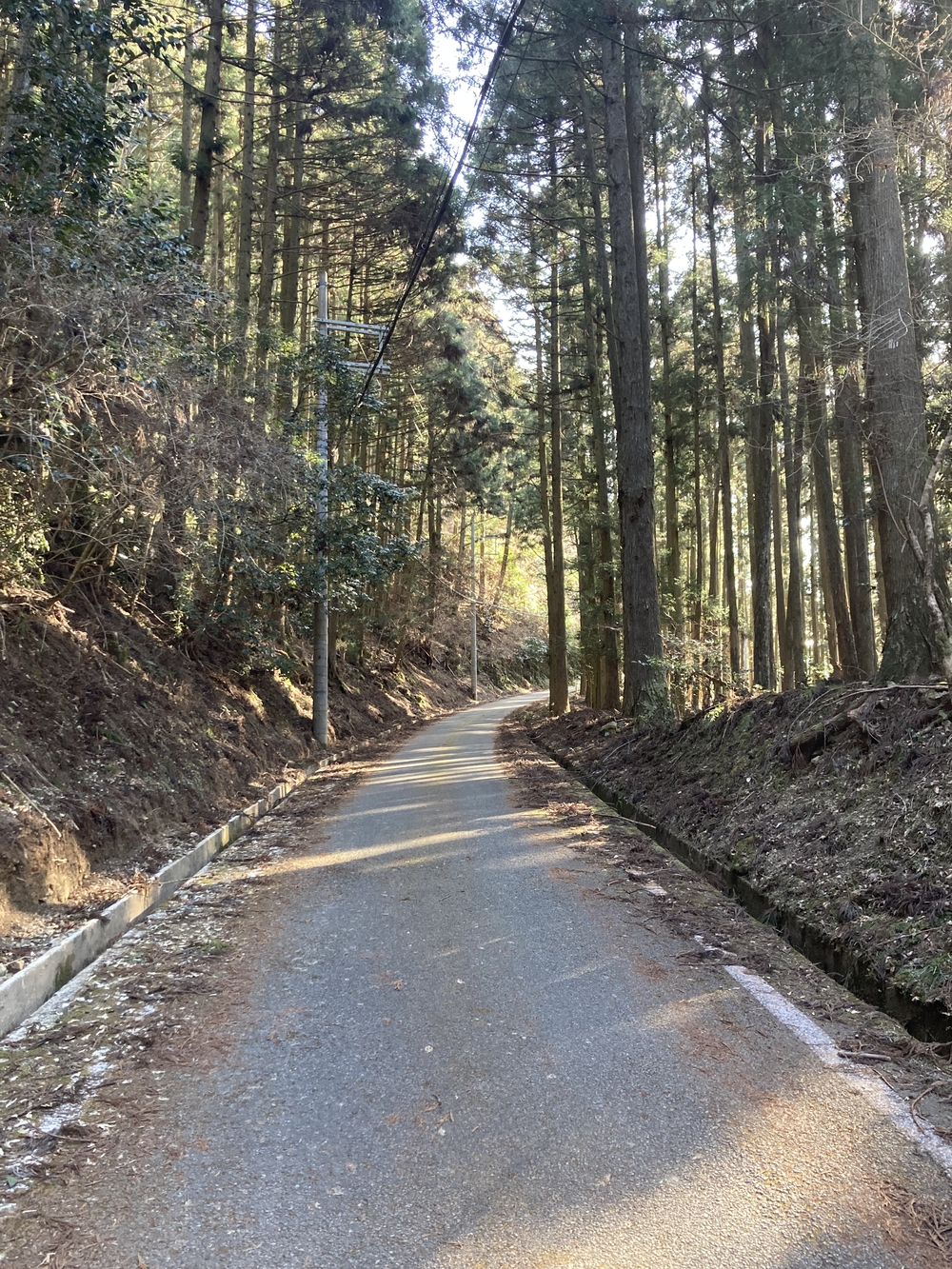菅生ダム（左岸）〜地蔵の水までの写真4