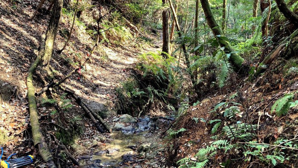明神山展望台と唐古鍵遺跡の写真13