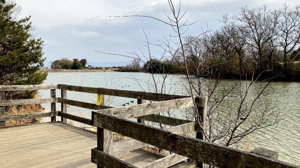 明神山展望台と唐古鍵遺跡の写真15