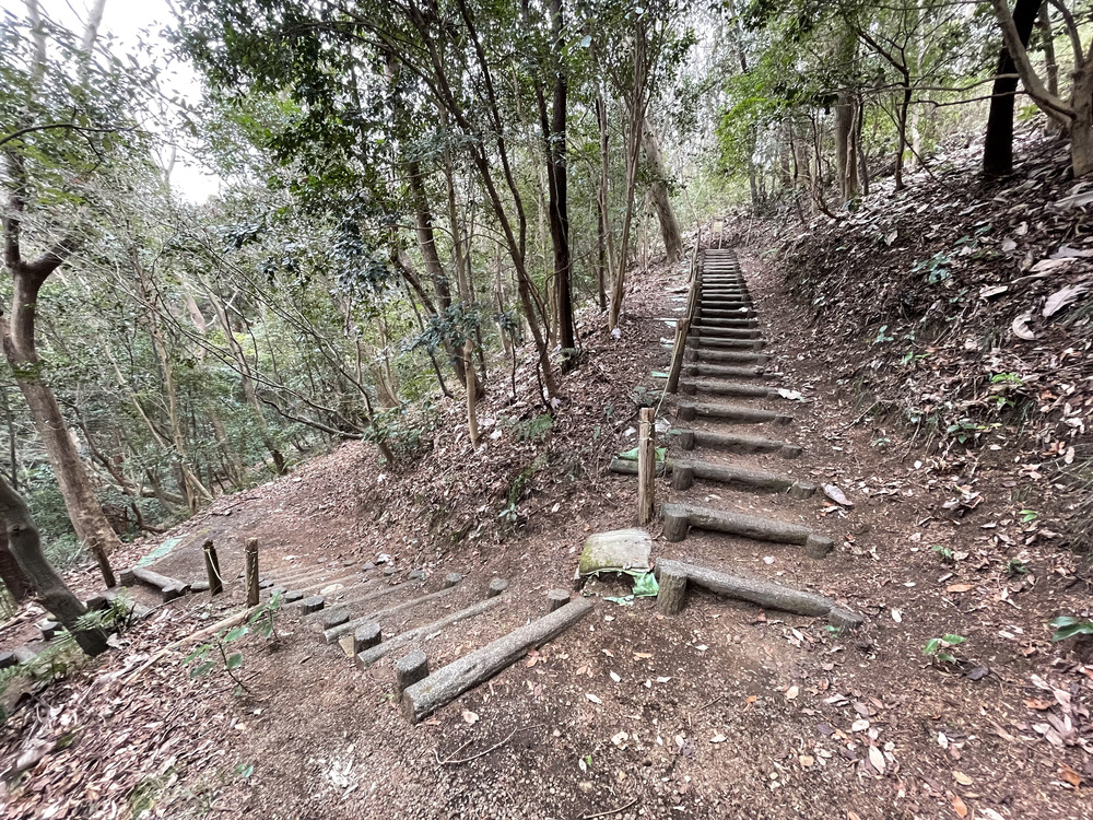 岩本山クライムセグメントの写真8